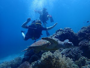 Ray Menjangan Dive place picture